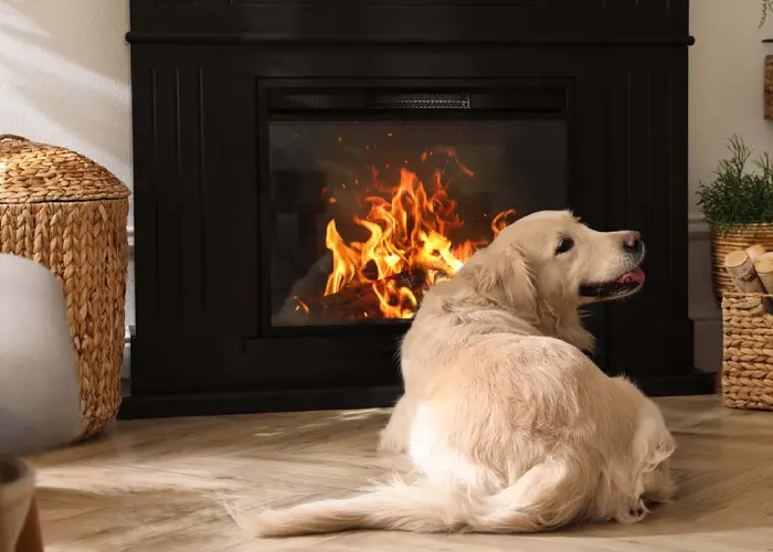 انتخاب بهترین مدل شومینه برقی